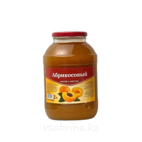 Нектар Сава Абрикос 2л