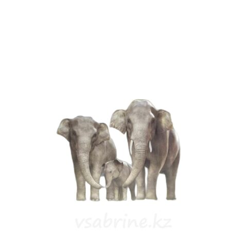 Чай Ассам классический черный 100 пакетиков т/уп